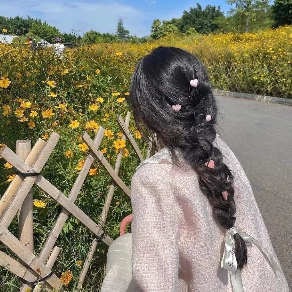 天下笨贼